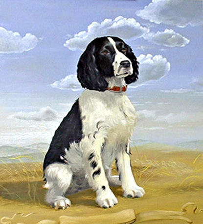 Cassie - Dog Portrait