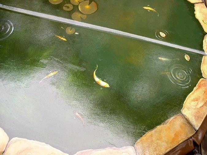 Detail of koi fish and lily pads on painted hot tub cover